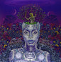 Badu Erykah - New Amerykah Part 2