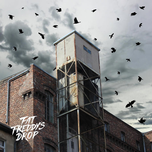 Fat Freddy'S Drop - Blackbird Returns LP